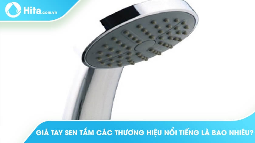 Giá Tay Sen Tắm Của Các Thương Hiệu Nổi Tiếng Là Bao Nhiêu?