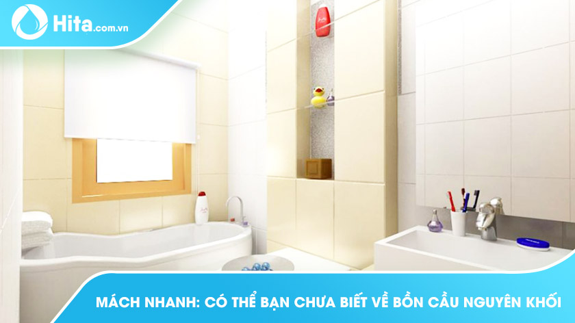 Mách nhanh: Có thể bạn chưa biết về bồn cầu nguyên khối