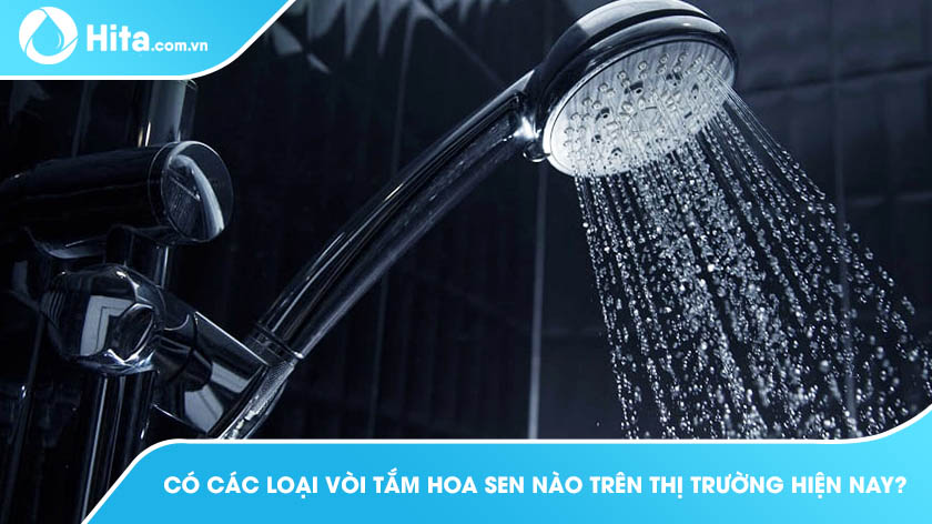 Có Các Loại Vòi Tắm Hoa Sen Nào Trên Thị Trường Hiện Nay?