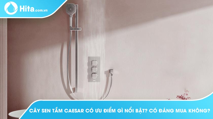 Cây sen tắm Caesar có ưu điểm gì nổi bật? Có đáng mua không?