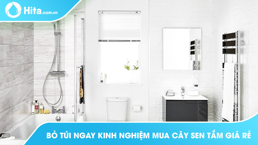 Bỏ Túi Ngay Kinh Nghiệm Mua Cây Sen Tắm Giá Rẻ