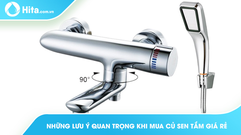 Những Lưu Ý Quan Trọng Khi Mua Củ Sen Tắm Giá Rẻ