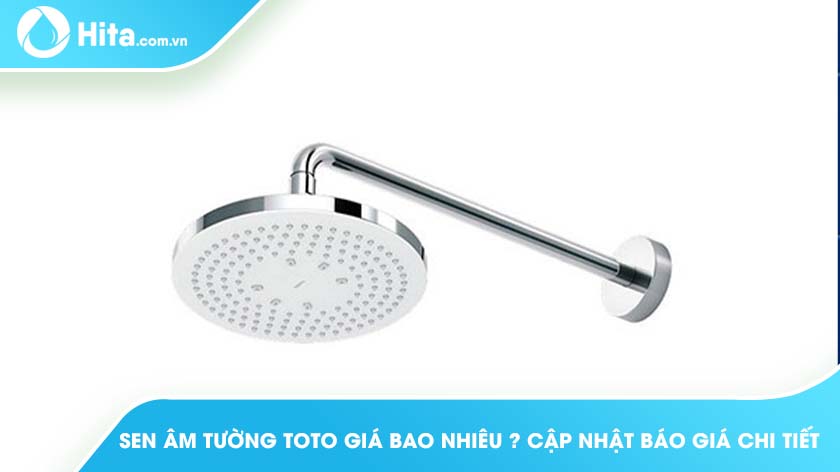 Sen âm tường TOTO giá bao nhiêu? Cập nhật báo giá chi tiết