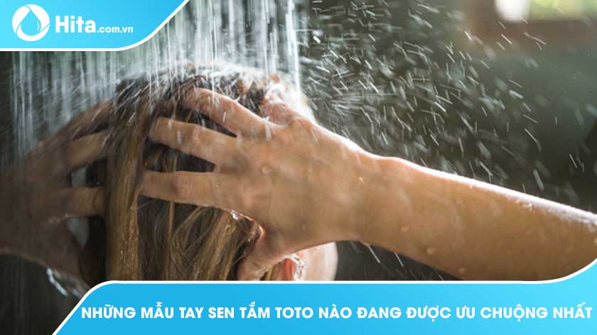 Những mẫu tay sen tắm TOTO nào đang được ưa chuộng sử dụng nhất?