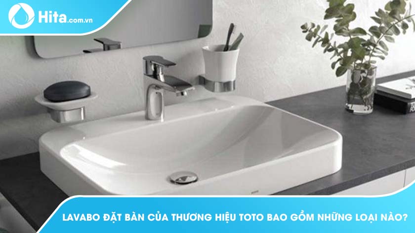 Lavabo Đặt Bàn Của Thương Hiệu Toto Bao Gồm Những Loại Nào?